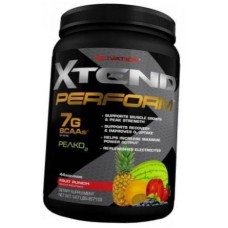 Xtend Perfomance